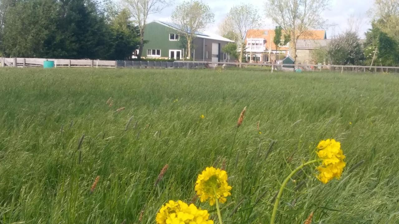 Boerenskuur De Bedstee Groen Assendelft Экстерьер фото