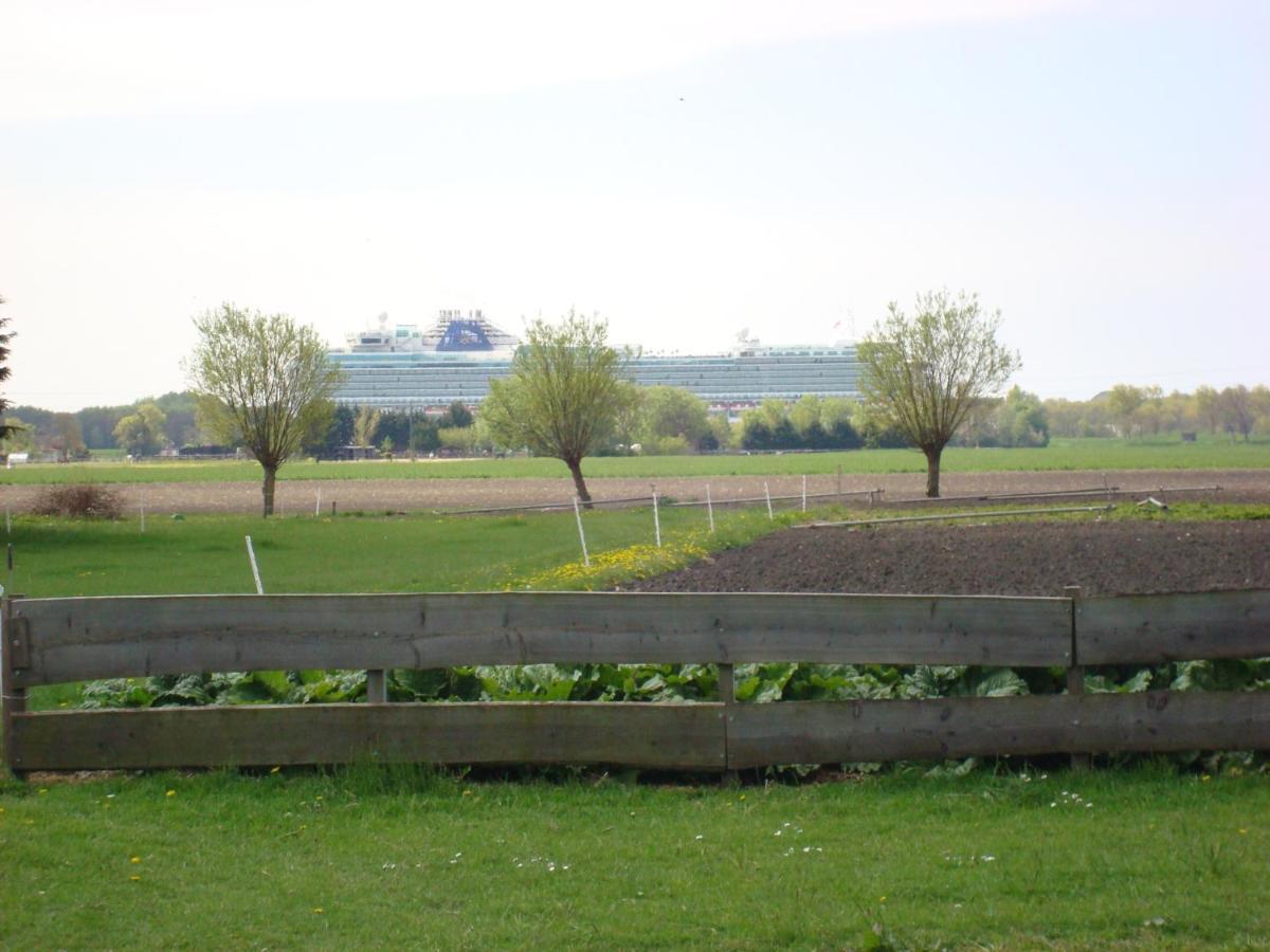 Boerenskuur De Bedstee Groen Assendelft Экстерьер фото